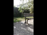 Esibizionista piscia sulla panchina al parco