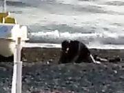 Bravissimo compa vai - Beccati a scopare in spiaggia