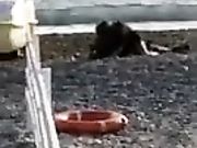 Bravissimo compa vai - Beccati a scopare in spiaggia