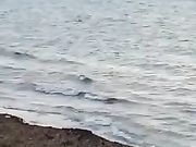 Coppia scopa in spiaggia alle mura di Trapani