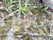 Pisciata in natura