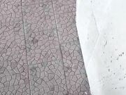 Faccio vedere la fica al guardone e dice che gli piace