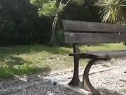 Milf italiana pisca al parco sulla panchina