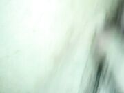La vacca si masturba