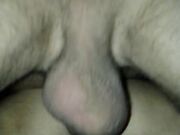 Il suo padrone