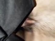 Moglie cuckold scopata dal bull cul preservativo