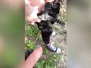 Fidanzata troia scopata nel boschetto outdoor